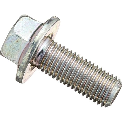 Vite M10 x 1,25