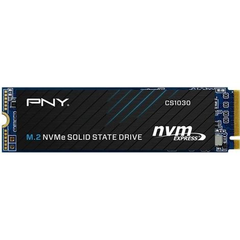 Disque SSD Interne - PNY - CS1030 M.2 GEN3 - 250 Go - NVMe M280CS1030-250-RB (1/5)