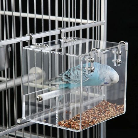 1 Mangeoire Oiseaux, Conteneur Graines Acrylique, Perchoir Acier Inoxydable, Installation Sans Outil, Pour Cage Petit Oiseau