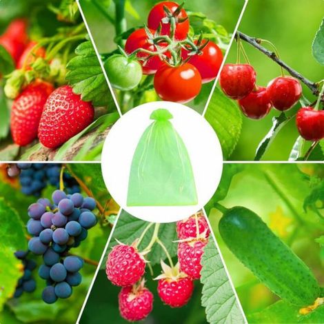 100 Pièces Sac Protection Fruits 20x30cm, Filet Anti Insecte Filet De Protection Jardin Filet Anti Oiseaux pour Protection des F (1/5)