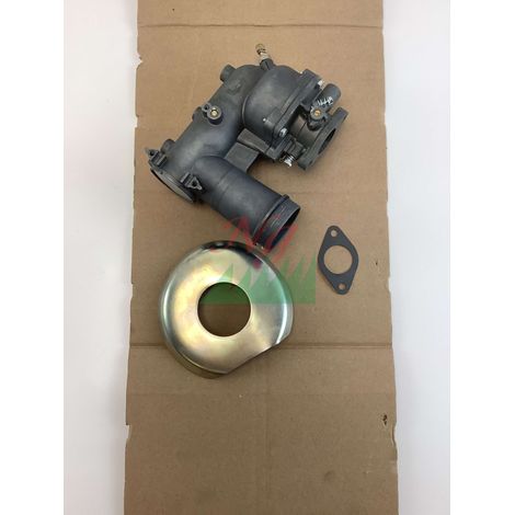 Carburatore motore trattorino rasaerba ORIGINALE BRIGGS & STRATTON 391070 (1/4)