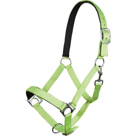 Pferdehalfter mit weichem Futter, fluoreszierend grün, strapazierfähiges Reitzubehör (1/4)