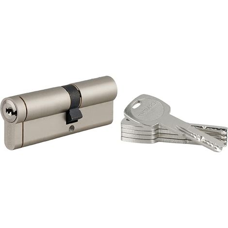 Cylindre de Serrure 40x50mm TRANSIT 1 - Système de Sécurité Finition Nickel - Usage Porte d'Entrée - Livré avec 4 Clés Plates Réversibles (1/5)