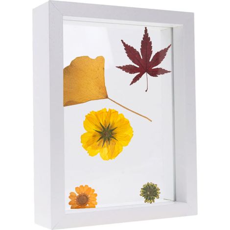 Cadre de spécimen de fleurs et de feuilles séchées, cadre en bois avec cadre en verre véritable, cadre photo de mariage, décoration photo de bureau (1/5)