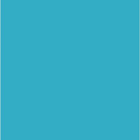 12 Carreaux de ciment véritable 0,48m2 / Carreaux de ciment artisanaux coloris bleu pour sol et mur - l.20 x L.20 cm - PEGANE - (1/2)