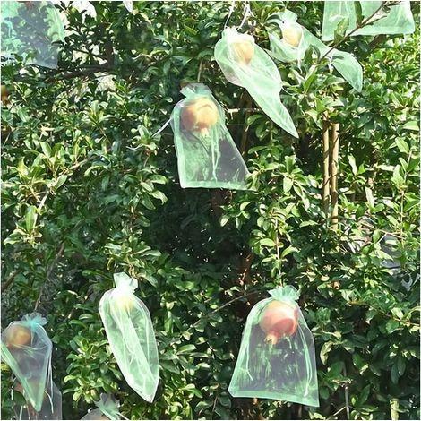 50 Sachets Filets Mailles Fins, Protection Fruits Arbres, Barrière Anti-Nuisibles Jardin, Poches Filetées avec Cordon 15x10 cm (1/5)