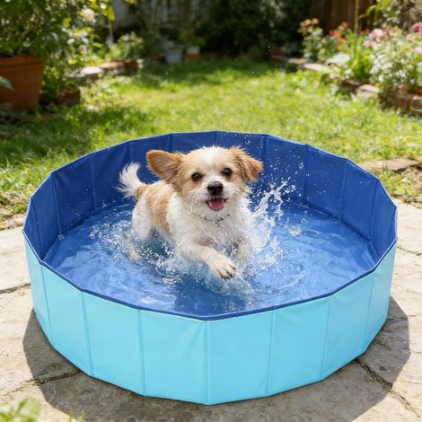 Piscine pour Chien Baignoire Chien Piscine Pliable en PVC Anti-Glissant Baignoire Pliable pour Animaux de Compagnie (1/5)