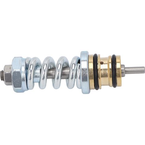 Vanne de déchargement 309515003, kit de remplacement haute résistance pour pompe de nettoyeur haute pression Troy Bilt, pièce robuste compatible, régulateur de pression fiable. (1/5)