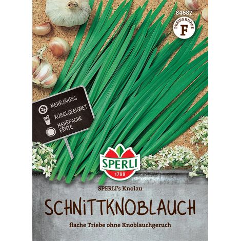 Sperli – Ail de Chine « Knolau » – Graines d'aromatiques, vivace, pour env. 1-2 mètres linéaires (1/2)
