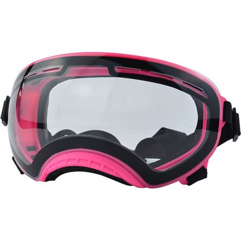 Lunettes de soleil pour chiens-monture rose verres transparents
