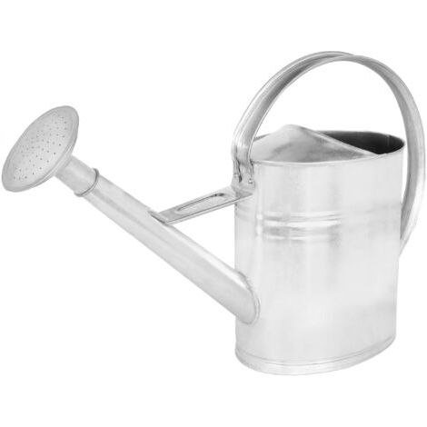 Arrosoir Plante Interieur - 12 L - Arrosoir Jardin - avec Pomme Amovible - Argenté - pour Terrasse - Balcon-NANOTEH (1/5)