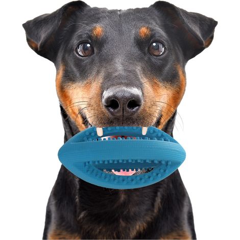 Mini palla da rugby in gomma PER CANI, giocattolo da masticare per il recupero, resistente (1/5)
