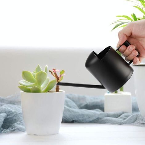 CSPARCV 300-ml-Gießkanne aus Edelstahl mit langem Ausguss, Mini-Gießkanne aus Metall für Zimmer- und Gartenpflanzen, Schwarz (1/5)