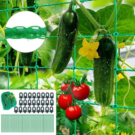 Tuteurs pour plantes grimpantes - 2 x 5 m - Filet avec 25 clips de serre et 50 attaches pour plantes - Idéal pour les concombres, les tomates et plus encore (1/5)