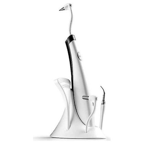 Nettoyeur interdentaire ultrasonique, outil de nettoyage des dents et tartre, appareil de soin bucco-dentaire (1/5)