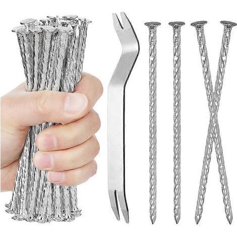 Clous pour gazon artificiel, piquets de jardin, pointes en spirale pour barrière anti-mauvaises herbes, bordures de pavés pour jardin, fixation de clôtures (1/5)