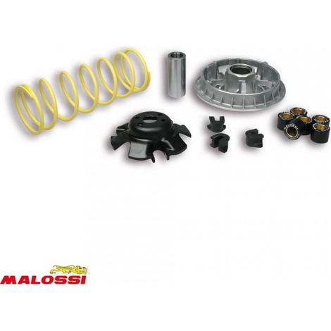 malossi variator für roller kymco 250 people s nach 2006 5111838 (1/2)
