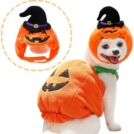 REZEA Chapeau de citrouille pour chien (1/5)
