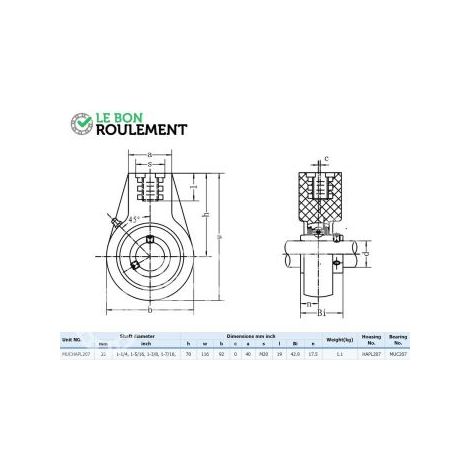 Palier plastique UCHPL207-VERT-INOX