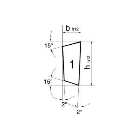 Bague tournante HSSE Form-L 16x4x120mm Index WILKE (1/5)
