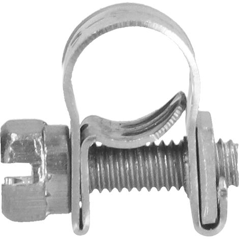 Mini-pinces de levage en acier inoxydable 304, résistantes à la rouille et à la corrosion, pinces de levage haute résistance, 9-11 mm (1/5)