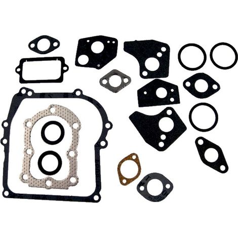 Dichtungssatz motor BRIGGS et STRATTON 297275 - 397144 - 495602