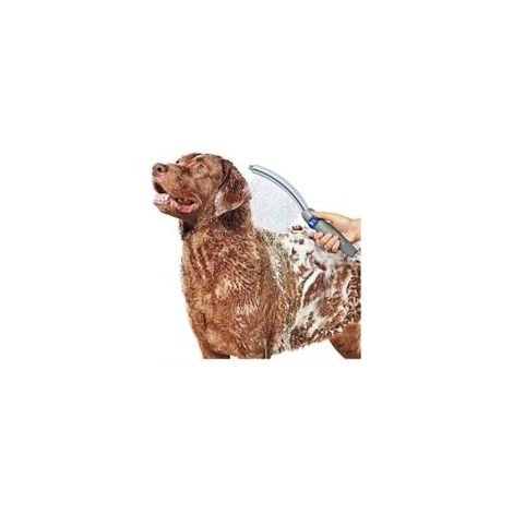 Accessorio doccia con getto a spruzzo per una pulizia facile e veloce dei cani a casa - Crezuo