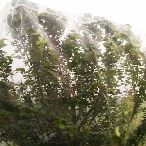 Rete anti-insetti per giardino – Protezione di lunga durata – 2 x 10 m – Protezione delle piante (1/3)