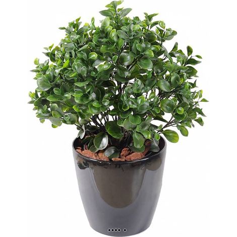 Peperomia artificiel en pot buisson extérieur D 60 cm (1/3)