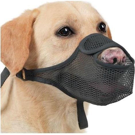 Museliere pour Chiens, Muselière Chien Nylon, Museliere pour Chiens Petit Respirant pour Chien Réglable, Museliere Engrener pour Petits, Moyens et Grands(S, Noir) (1/5)