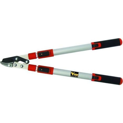 Blinky 6993720 Cesoie per Potatura Manico Telescopico 49-83 cm Taglio a Battente Lame Acciaio al Carbonio Capacita' 32 mm (1/2)