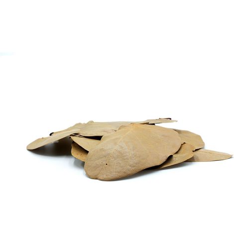 BioToba Leafs Foglie di Jotoba 12 pezzi (1/5)