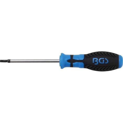 Tournevis Profil T Torx T25 - Lame 100 mm - Précision et Ergonomie - Acier, Zones Difficiles - D-Work (1/5)