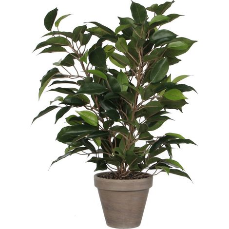 Mica Kunstpflanze Ficus Natasja grün im Topf 40 x 30 cm künstliche Pflanze