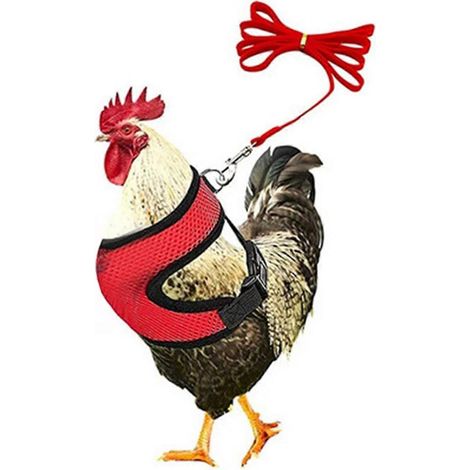 1 Set Hühnergeschirr mit Leine, atmungsaktiv, verstellbar, für Hühner, Enten und Geflügel im Garten-S-Red