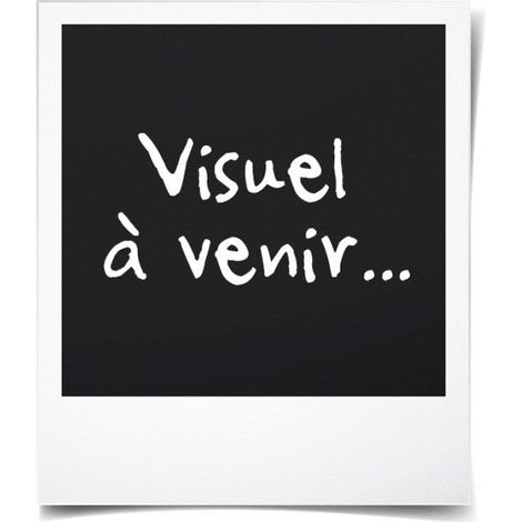 Adaptateur VGA vers HDMI - - CZTS823A4041 - 1080P HD - Audio intégré - Noir (1/3)
