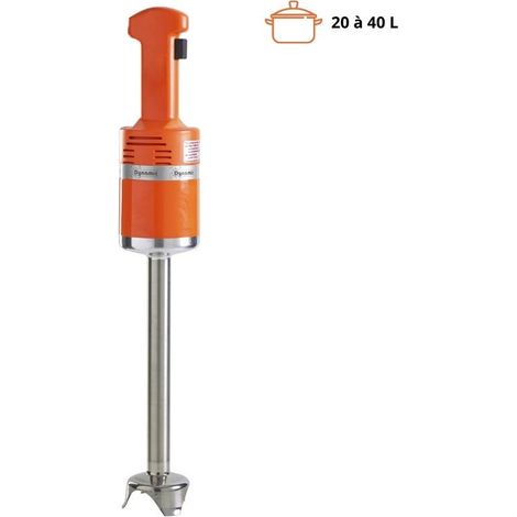 Mixeur Senior MX 300 (1/2)