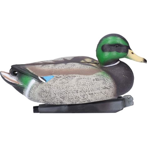 Statue canard réaliste – détails fins haute simulation – pour hôtel maison – mâle