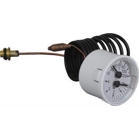 Manotermometro m90, 0-120ºc, 0-4 bar, ø43 - BIASI : BI1475108