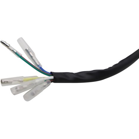 Zoternen Stator magnéto pour moteur horizontal de moto tout-terrain à démarrage rapide 49cc, 50cc, 70cc, 90cc, 110cc, 125cc (1/5)