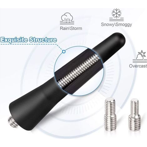 Antenne courte universelle AUTOPARTS 65 mm pour voiture - Style fibre de carbone modifiée - Noire