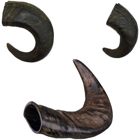 Corne de buffle pour chien Désignation : Corne Buffle - taille M BUBIMEX 894100