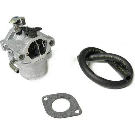 Briggs & Stratton Carburateur Nikki pour moteur Briggs et Stratton 13.5cv Compatible série 217707 Installation facile Performances optimales (1/3)