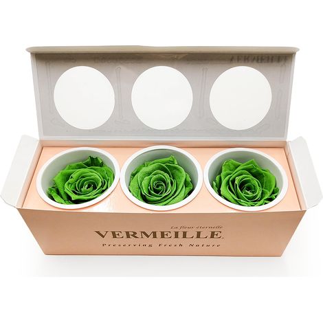 Rosa estabilizada - Verde pradera - XL - 3 unidades (1/5)