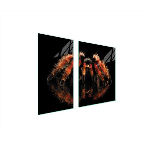 PIASTRA PROTETTIVA IN VETRO PER STUFA 90x52 SPIDER (1/5)