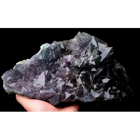 Spécimen de Fluorite octaèdre Vert Violet Naturel de 9,99 LB Collections de la Maison