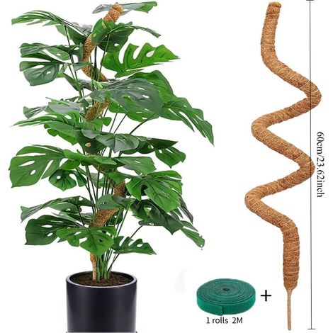 Flexible foam plant support, climbing plant support, monstera palm support, accessories for potted plants and gardens (1/5)