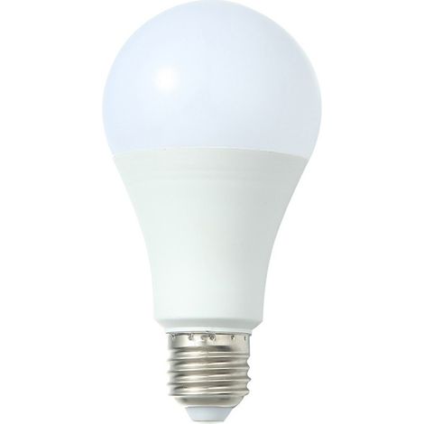Ampoules LED culot E27 15W 3000K Blanc Neutre 10pcs (1/4)