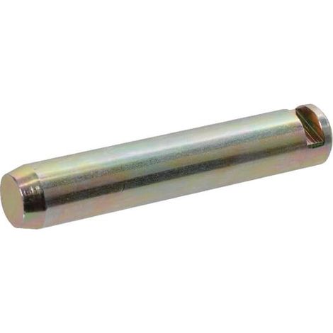 Pivot FENDT 716501120100 (1/2)
