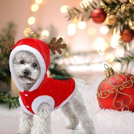 Costumes de Noël pour chiens, costumes de Père Noël, costumes mignons de renne pour chiens (1/4)